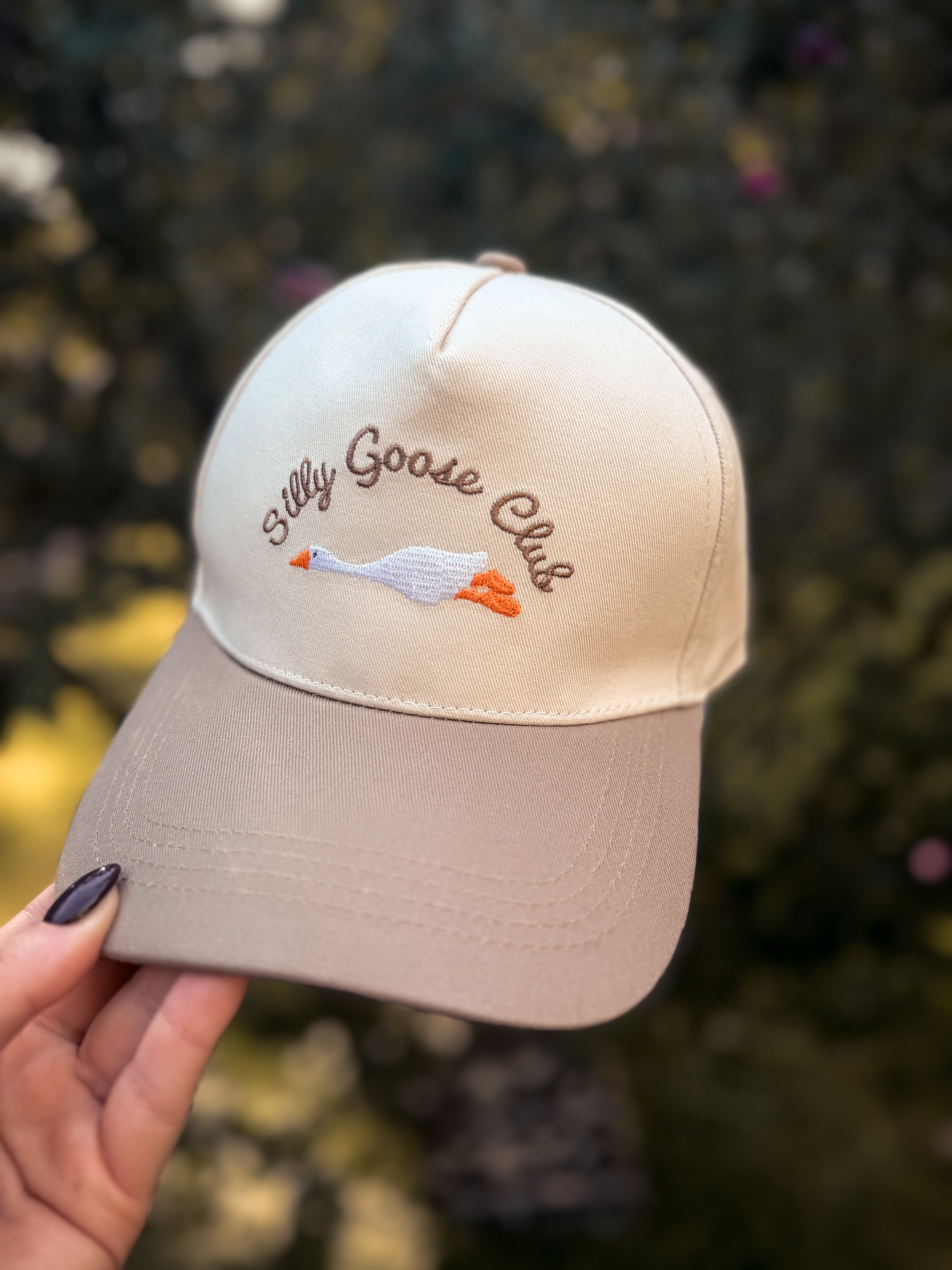 Silly Goose Hat