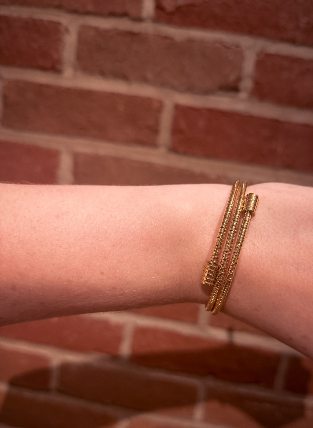 Arnell Snake Chain Bracelet