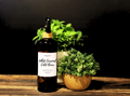 White Caramel Cold Brew Room + Linen Spray