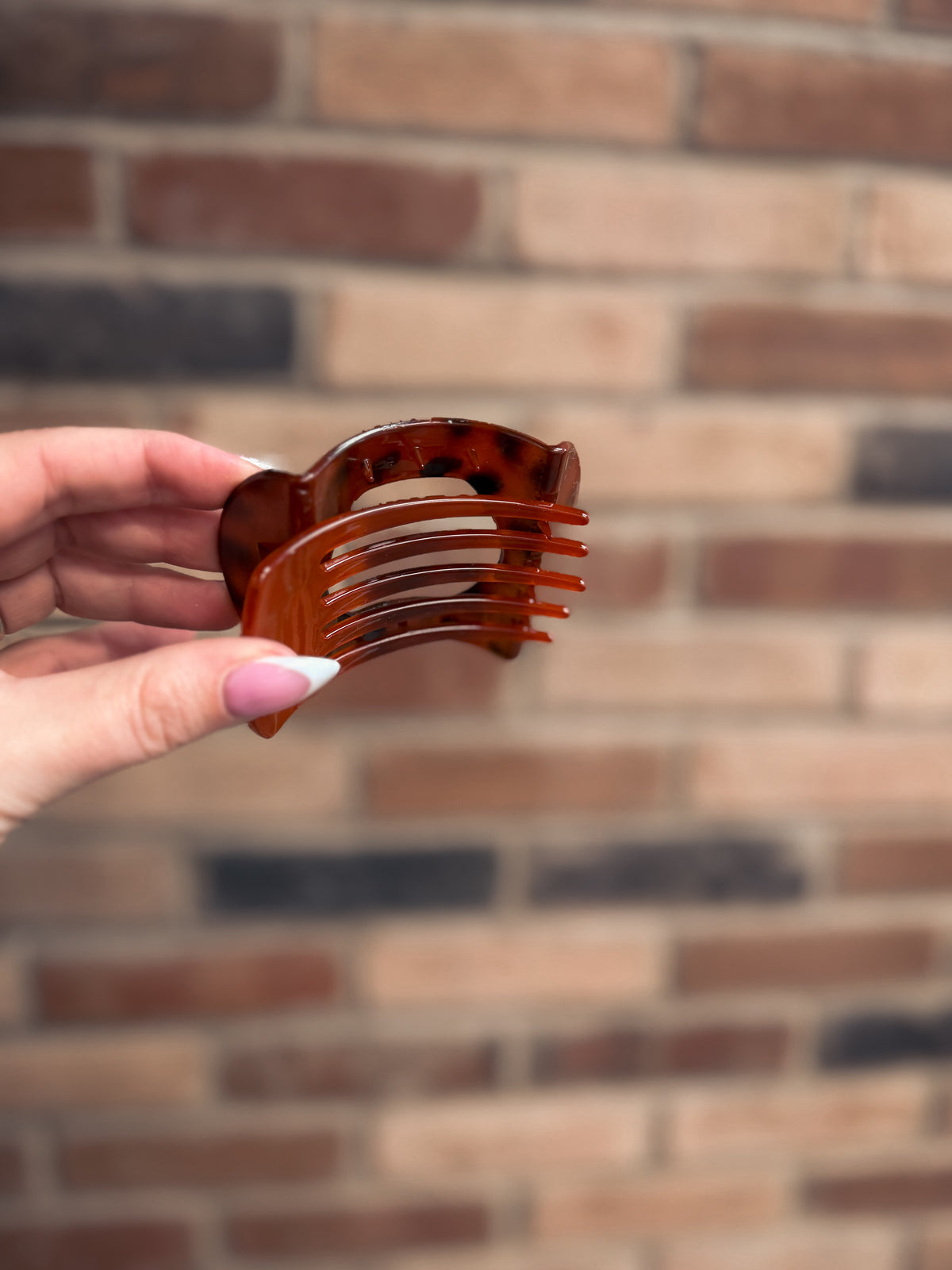 Flat Tortoise Hair Clip