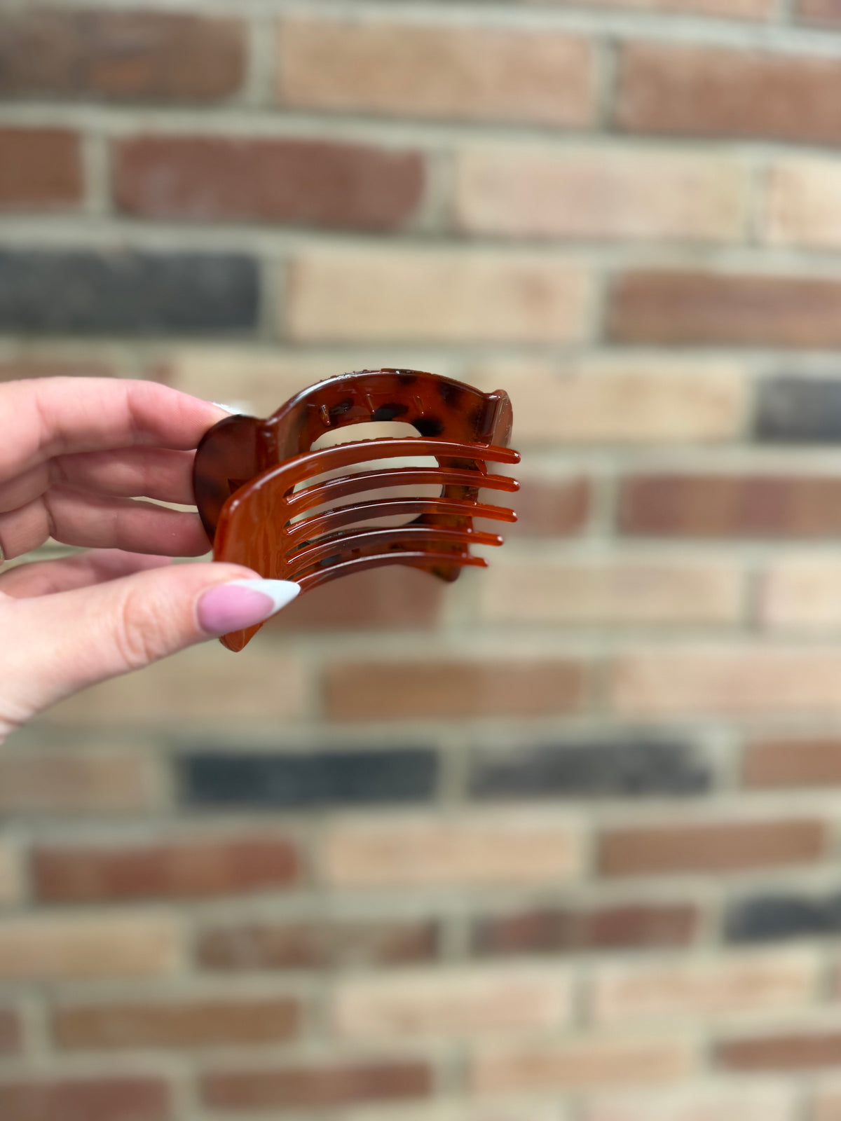 Flat Tortoise Hair Clip